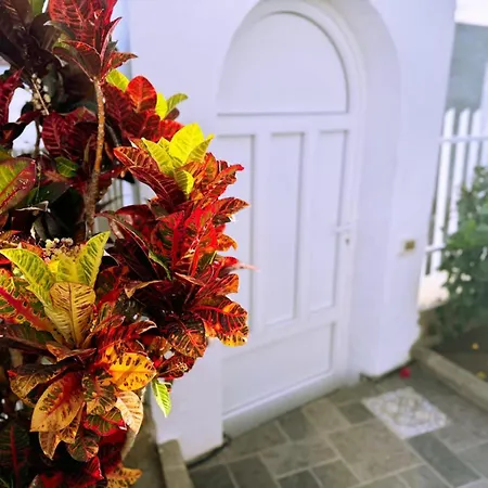 Hibiscus Prázdninový dům *